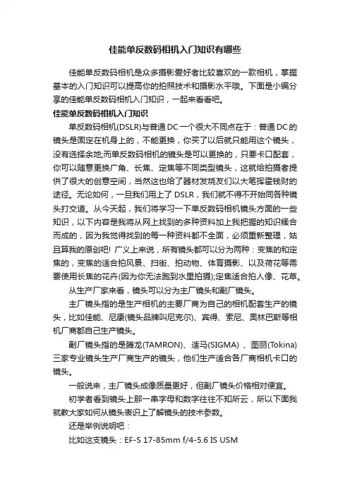 佳能单反数码相机入门知识有哪些