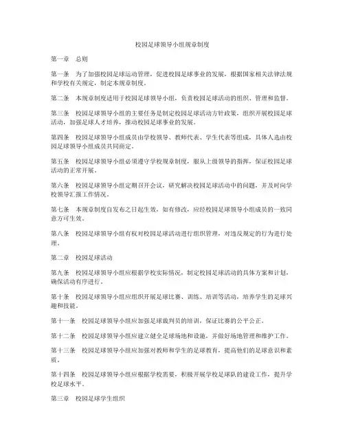校园足球领导小组规章制度