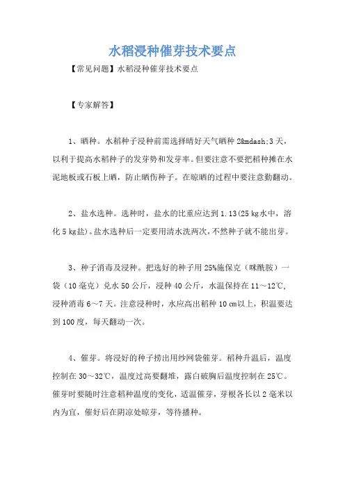 水稻浸种催芽技术要点