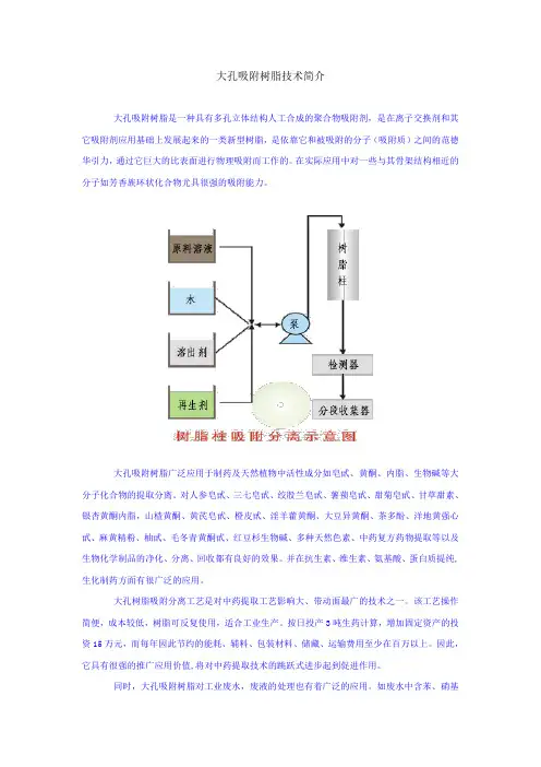 大孔吸附树脂技术简介