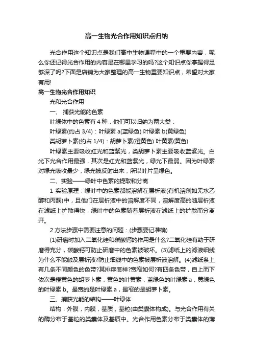 高一生物光合作用知识点归纳