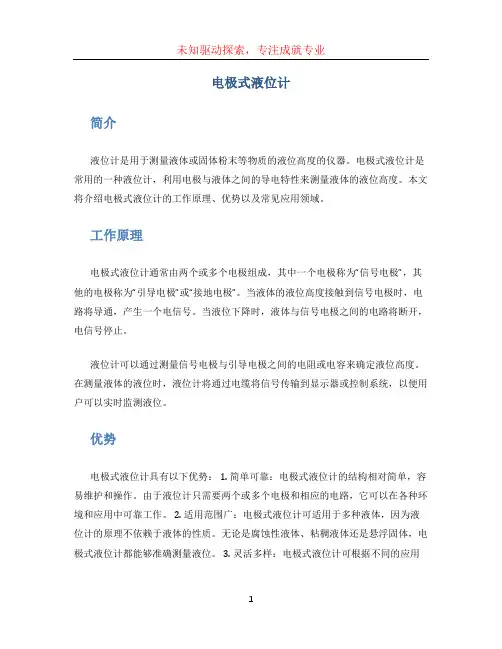 电极式液位计