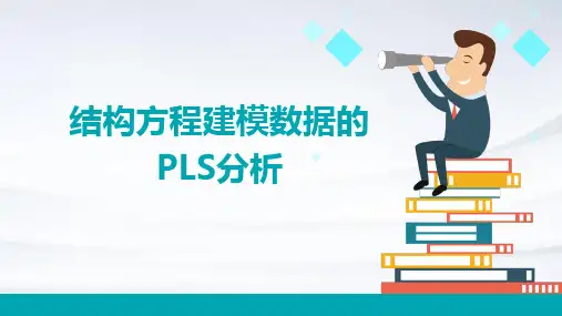 结构方程建模数据的PLS分析