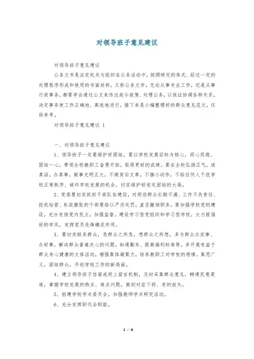 对领导班子意见建议