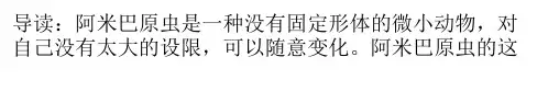 阿米巴经营四大核心力量