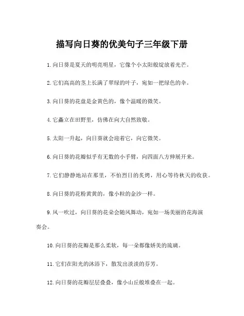 描写向日葵的优美句子三年级下册