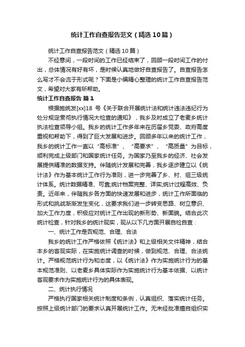 统计工作自查报告范文（精选10篇）