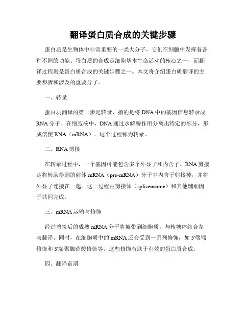 翻译蛋白质合成的关键步骤