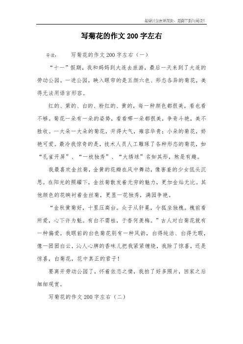 写菊花的作文200字左右