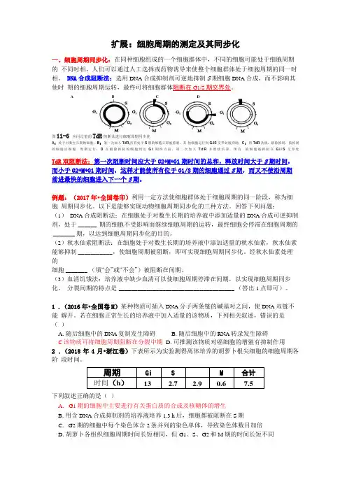 扩展-细胞周期的测定及其同步化