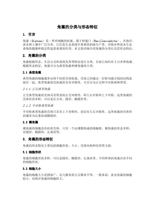 角藻的分类与形态特征