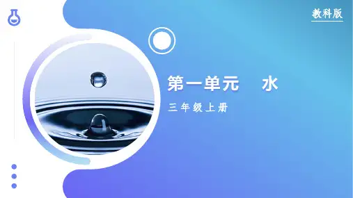 第一单元 水(复习课件)三年级科学上学期期中复习(教科版)