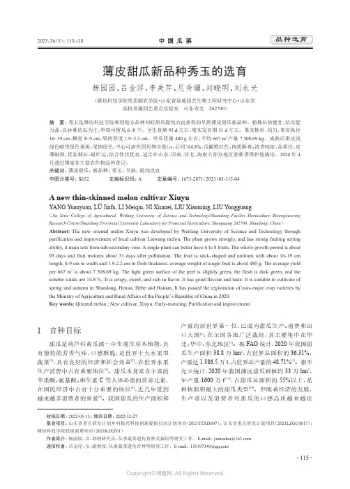 薄皮甜瓜新品种秀玉的选育