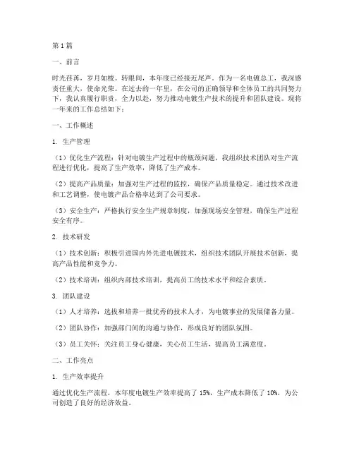 电镀总工年度个人总结(3篇)