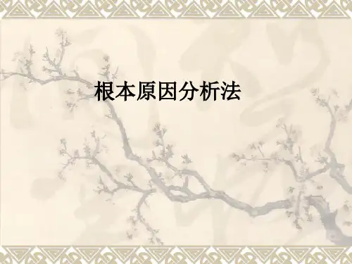 根本原因分析法ppt课件