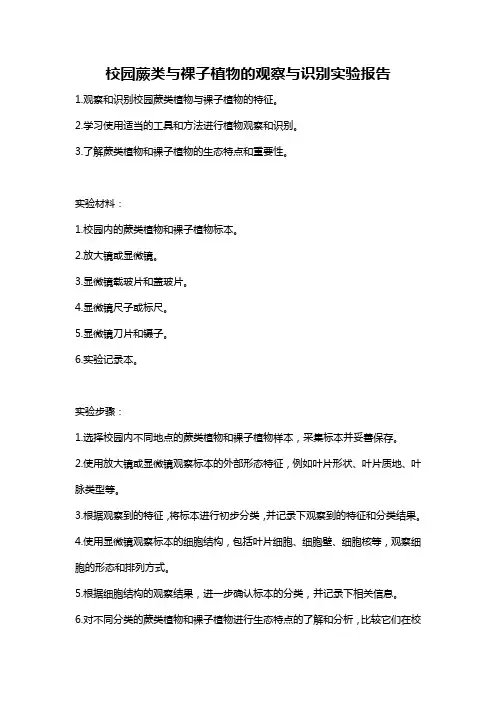 校园蕨类与裸子植物的观察与识别实验报告