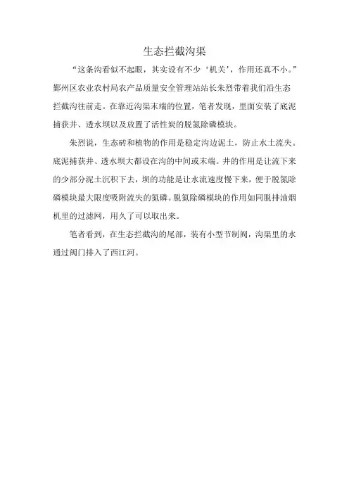 生态拦截沟渠
