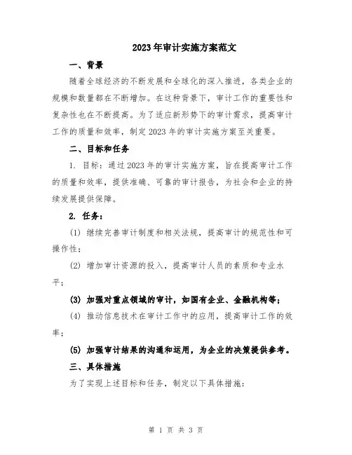 2023年审计实施方案范文