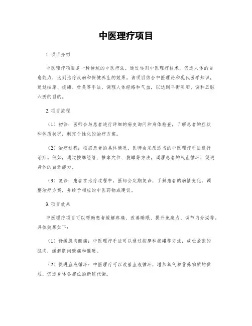 中医理疗项目