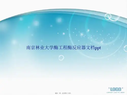 南京林业大学酶工程酶反应器讲课文档