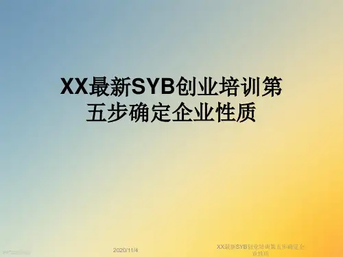 XX最新SYB创业培训第五步确定企业性质