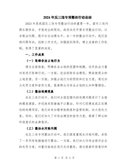 2024年反三违专项整治行动总结