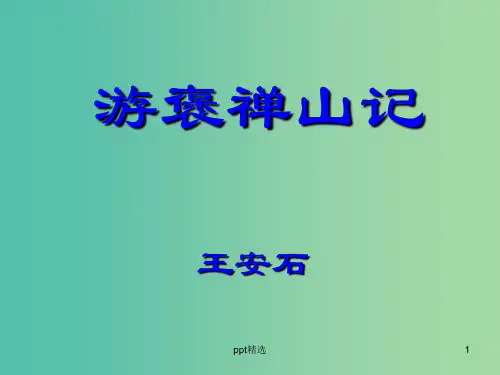 高中语文 3-10 游褒禅山记课件 新人教版必修2