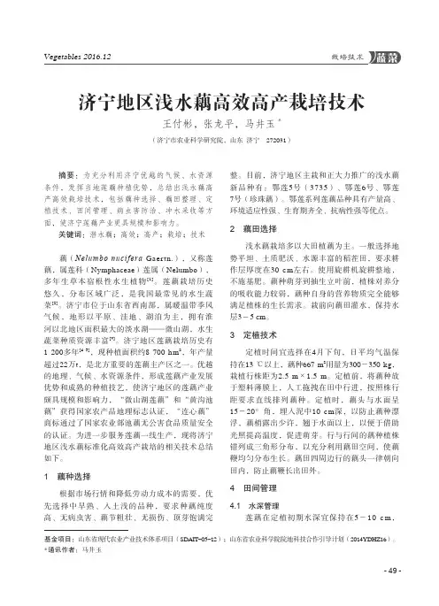 济宁地区浅水藕高效高产栽培技术