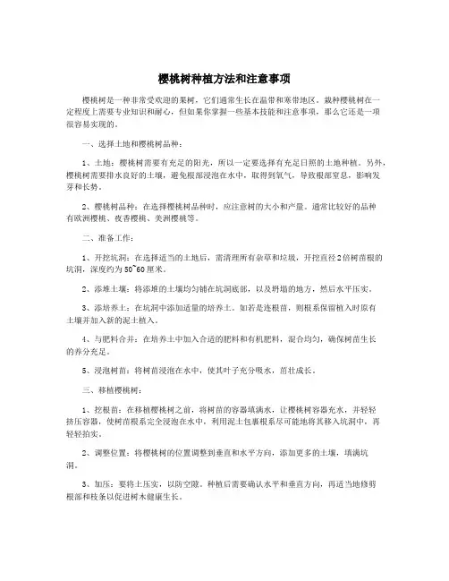 樱桃树种植方法和注意事项