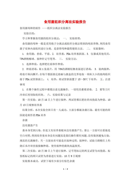 食用菌组织分离法实验报告