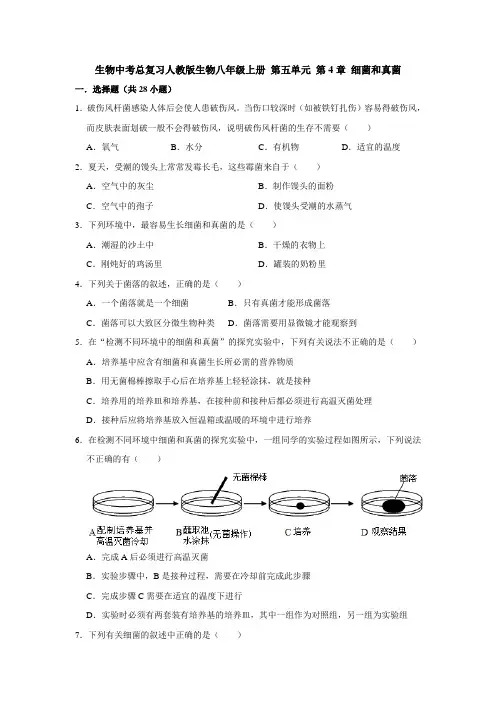 2021年生物中考总复习人教版生物八年级上册 第五单元 第4章 细菌和真菌(含答案)