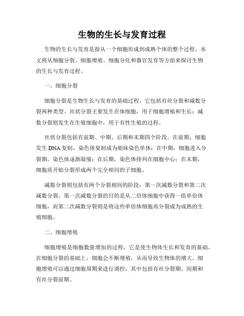 生物的生长与发育过程