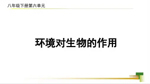 第一节环境对生物的作用课件-2022-2023学年济南版八年级生物下册