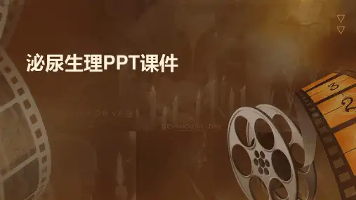 泌尿生理PPT课件