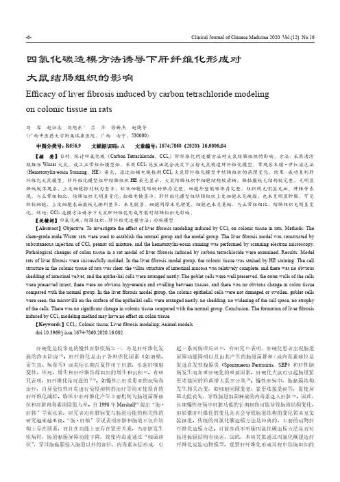 四氯化碳造模方法诱导下肝纤维化形成对大鼠结肠组织的影响