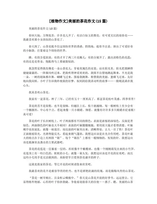 [植物作文]美丽的茶花作文(15篇)