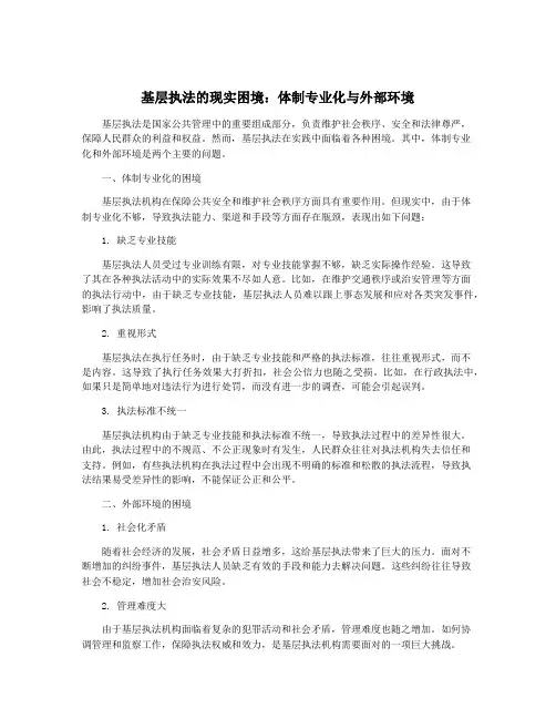 基层执法的现实困境：体制专业化与外部环境