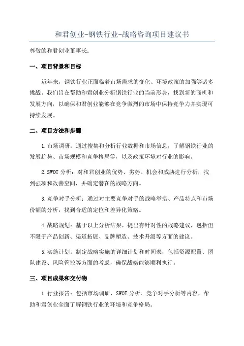 和君创业-钢铁行业-战略咨询项目建议书