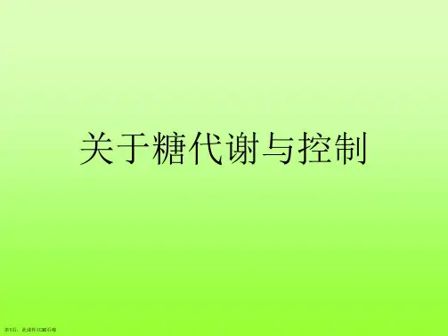 糖代谢与控制
