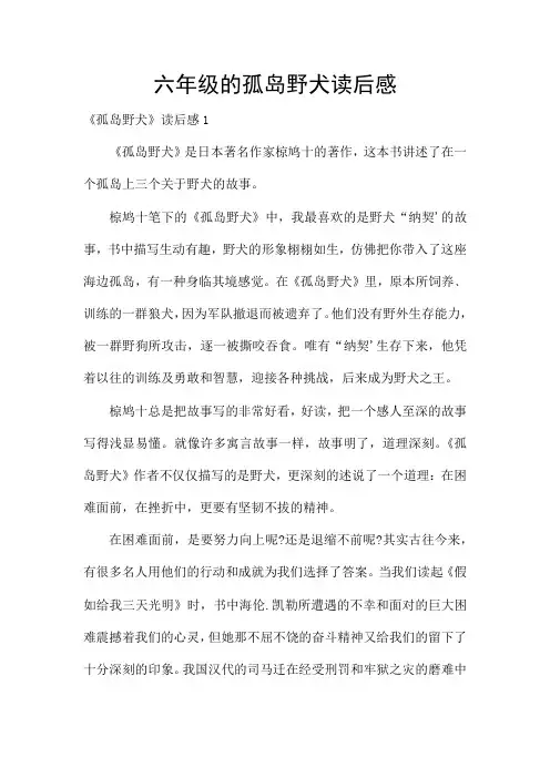 六年级的孤岛野犬读后感