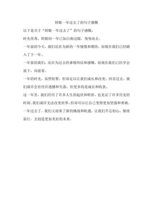 转眼一年过去了的句子感慨
