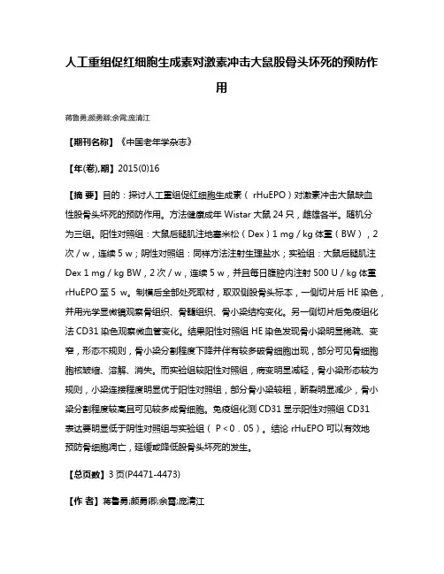人工重组促红细胞生成素对激素冲击大鼠股骨头坏死的预防作用
