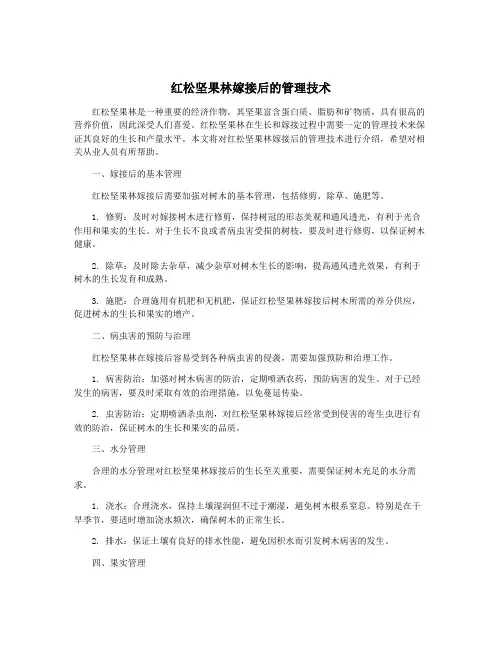 红松坚果林嫁接后的管理技术