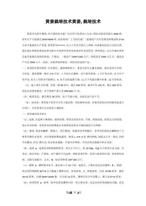 黄姜栽培技术黄姜,栽培技术