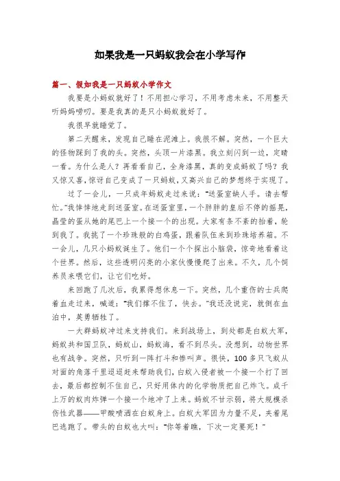 如果我是一只蚂蚁我会在小学写作