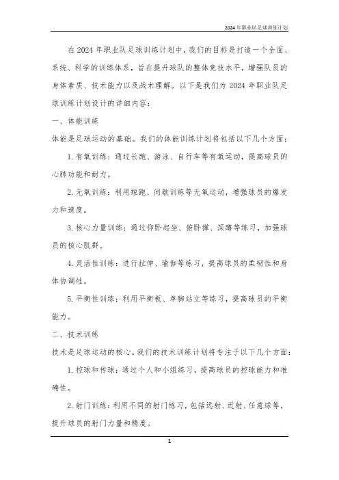 2024年职业队足球训练计划
