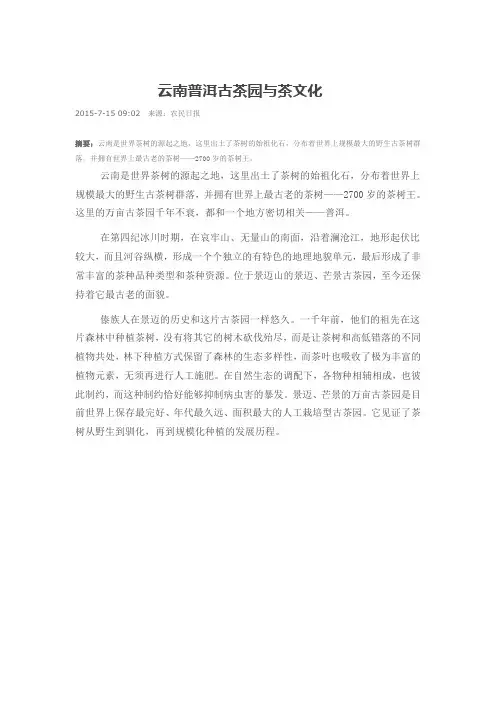 云南普洱古茶园与茶文化