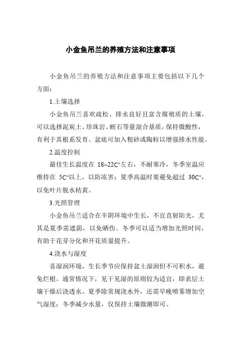 小金鱼吊兰的养殖方法和注意事项