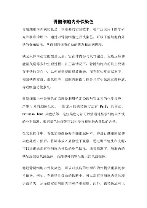 骨髓细胞内外铁染色