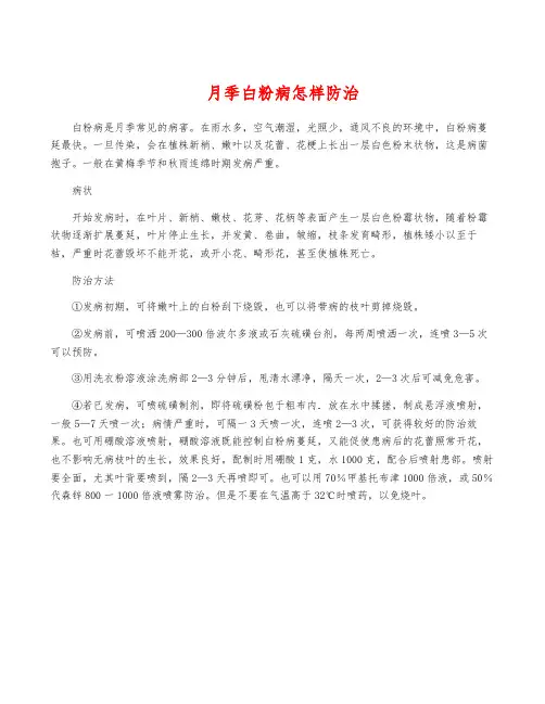 月季白粉病怎样防治